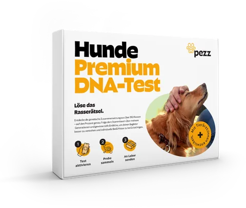 Pezz Premium DNA-Test für Hunde, Verpackung