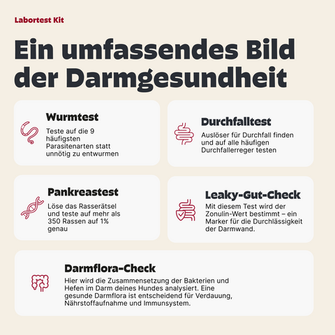 3-in-1 Darm-Gesundheitspaket