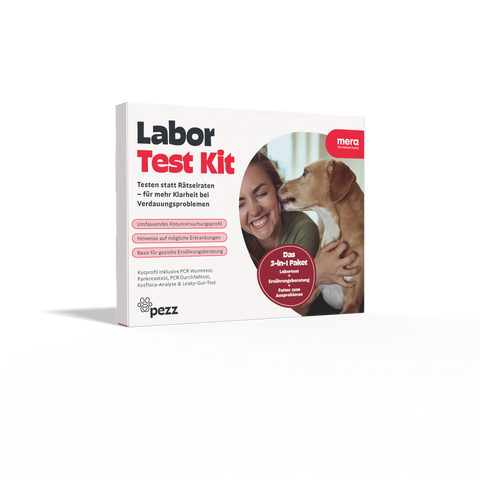 3-in-1 Darm-Gesundheitspaket