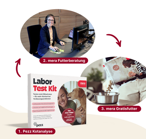 3-in-1 Darm-Gesundheitspaket