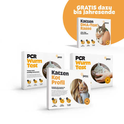 Jahres-Vorsorgepaket für Katzen