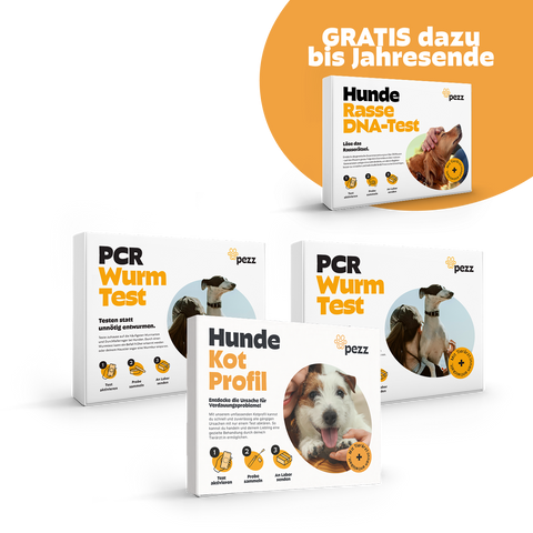 Jahres-Vorsorgepaket für Hunde