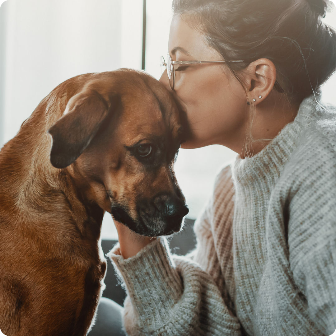 Kontakt & Support: Wir beraten Dich gerne | Pezz life
