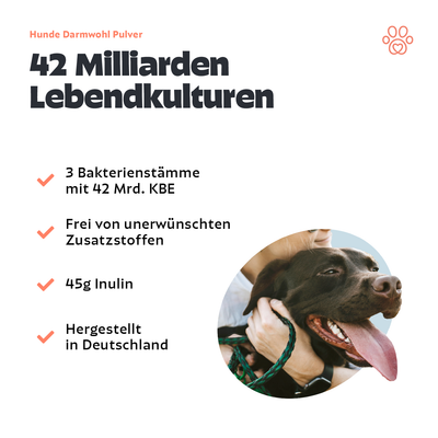 Hunde Darmwohl Pulver 150g