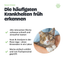 Katzen Urintest